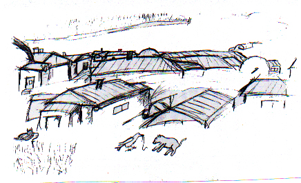 The Raven and The Pup 