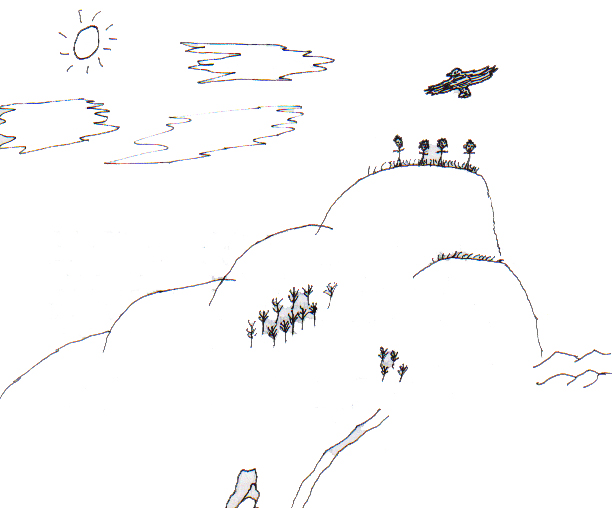 Ravens on Pilcher Mountain