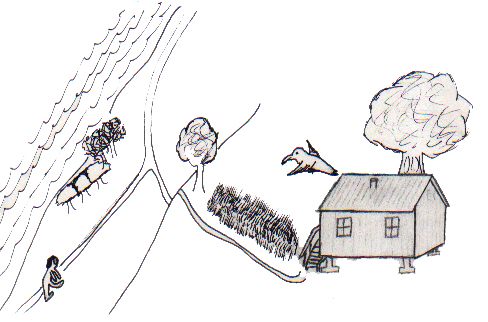 Raven and the Old Woman 