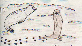 The Bearded Seal and the Otter 