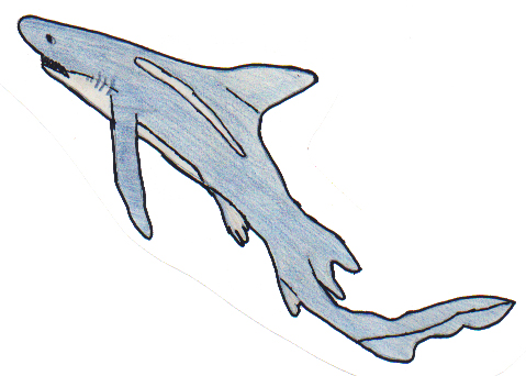 Stories by Elders and Others