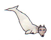 The Whale That Changed Into a Wolf 