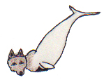 The Whale That Changed Into a Wolf 