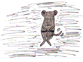 The Mouse Who Jumped