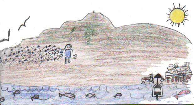 Julia Papp's Summer Story