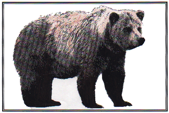 by High School Students