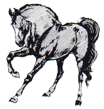 Summer Time Tails from Marshall