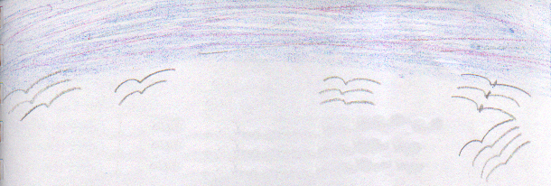 Sophie Shorty's Summer