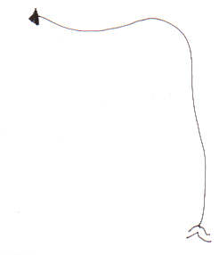 My Weird Trip to Cuilenguq!