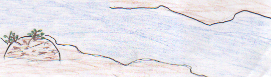 Three Nights in The Wilderness 