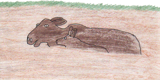 TWO UNEXPECTED VISITORS