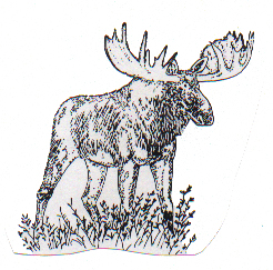 Other Student Stories