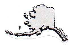 Stories from our School Staff