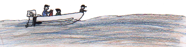 Nora's Surgical Summer 