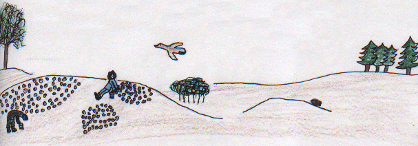 Agnes Boliver's Summer