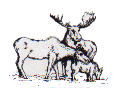 Tales from Our School Staff