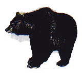 Tales from Parents and Community