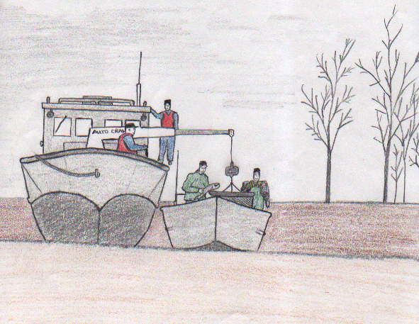 Herman's Summer Tendering 