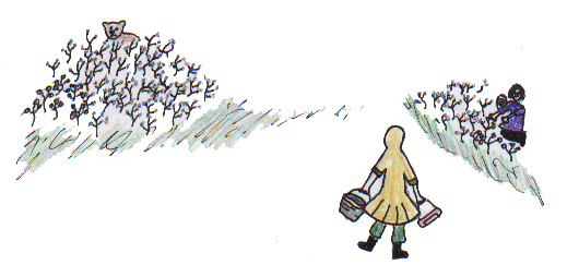 Angeline Picked Berries With A Bear 