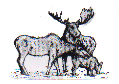 Tales from our School Staff