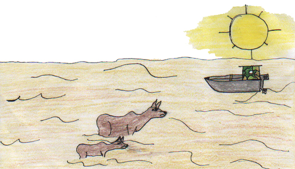 A Summer With Christopher 