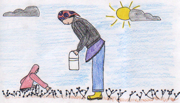 Berry Picking Frenzy 