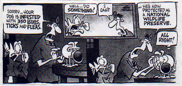  Mother Goose and Grimm