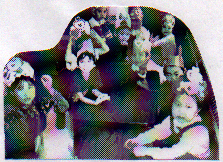 Third and Fourth Grades