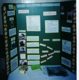 Pictures of Past Science Fair Projects