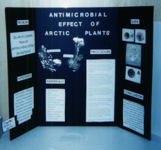 Pictures of Past Science Fair Projects