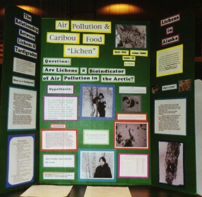 Pictures of Past Science Fair Projects