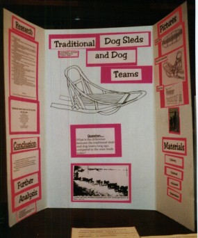 Pictures of Past Science Fair Projects