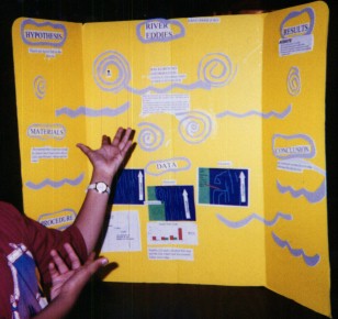 Pictures of Past Science Fair Projects