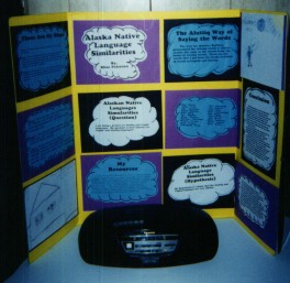 Pictures of Past Science Fair Projects