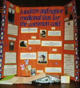 Pictures of Past Science Fair Projects