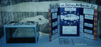 Pictures of Past Science Fair Projects