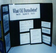Pictures of Past Science Fair Projects