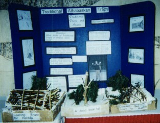 Pictures of Past Science Fair Projects