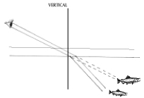 Spearing Fish and the Refraction of Light