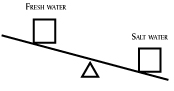 At the mouth of Alaska's rivers, the water on top is less salty than that on the bottom.