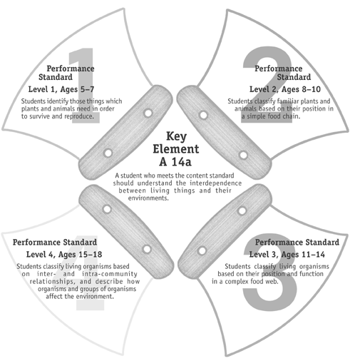 ulus represent sample performance standards for each grade level