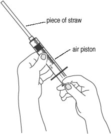 Collect smoke in the cylinder by slowly drawing out the plunger.