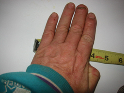 Nonstandard Measurements