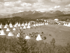 Workshops and presentations were held in over 60 teepees