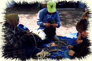 Spruce Roots Sewing Circle