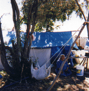 Taking a nap in the afternoon