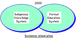 2000 Systemic Integration