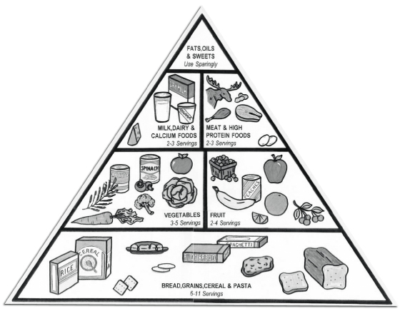 food pyramid guide. Food Guide Pyramid