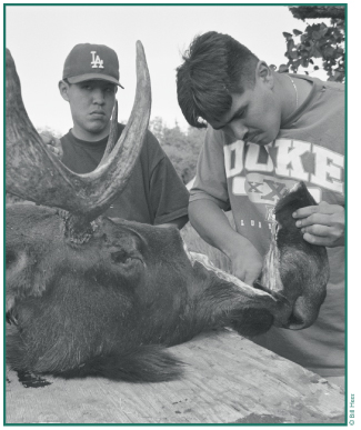 Freddy Nicolai Jr. and Shawn Sanford cutting moose nose at Batzulnetas. 