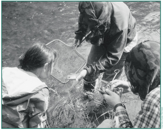 Jena-Rene' Sinyon looking at stream ecology of Sinona Creek. Summer, 2001.